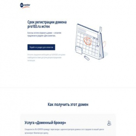 Скриншот главной страницы сайта pro103.ru